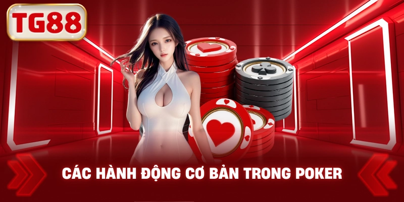 Các hành động cơ bản trong Poker