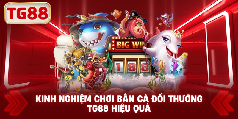 Kinh Nghiệm Chơi Bắn Cá Đổi Thưởng TG88 Hiệu Quả