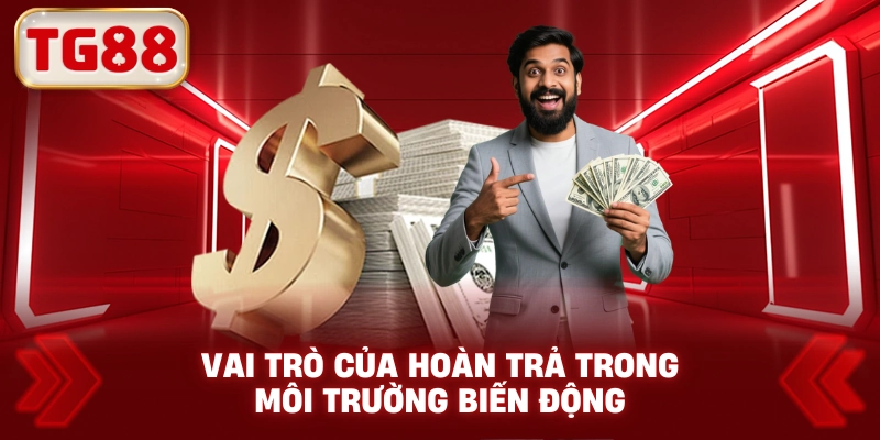 Vai Trò Của Hoàn Trả Trong Môi Trường Biến Động